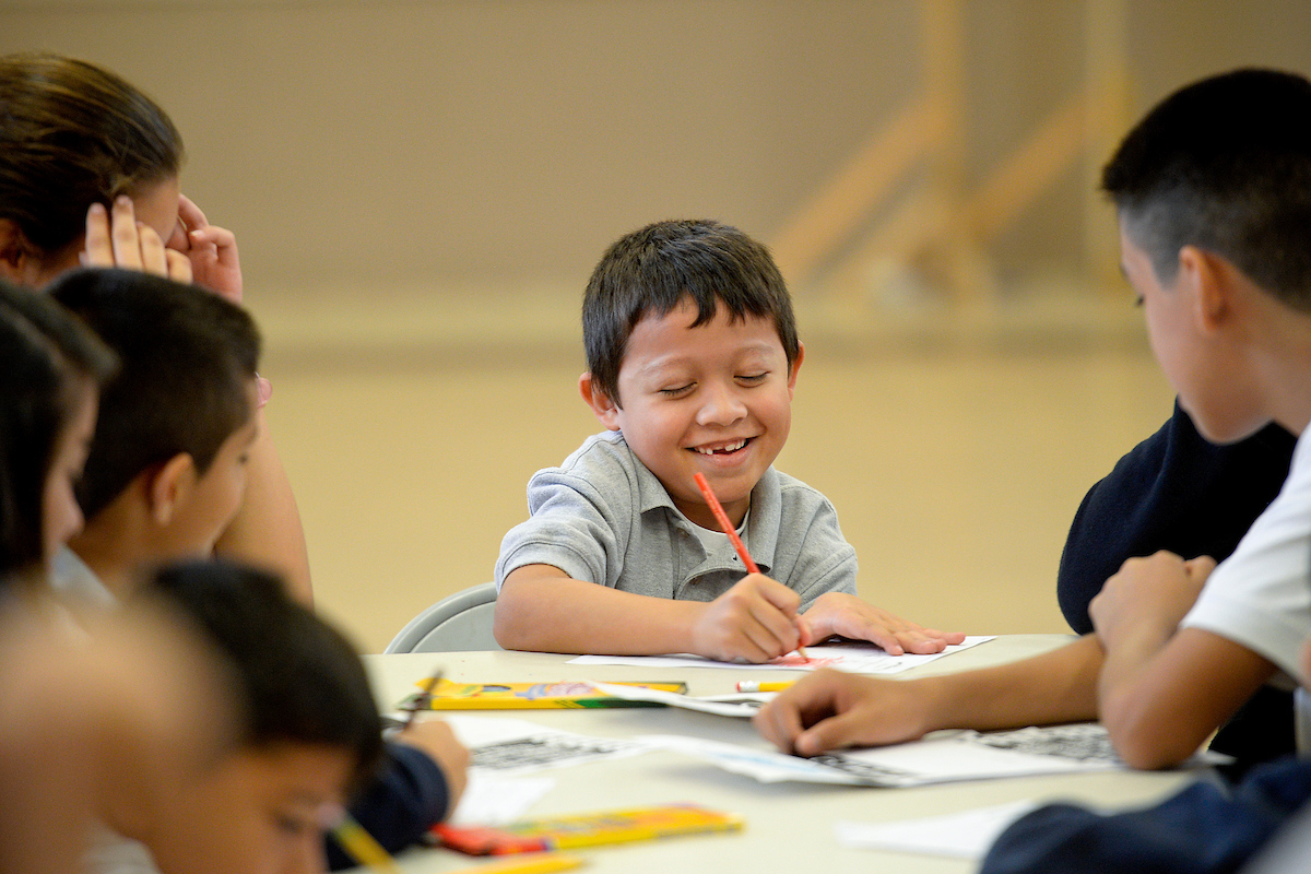 Young smiling student at desk learning.